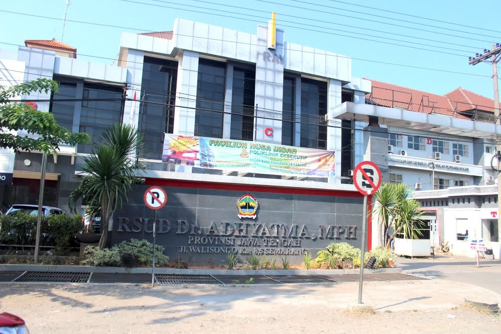 sarana13