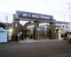 sarana14